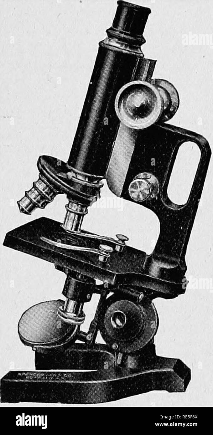 Cuerpo lacado Imágenes de stock en blanco y negro Alamy Cuerpo lacado Imágenes de stock en blanco y negro Alamy