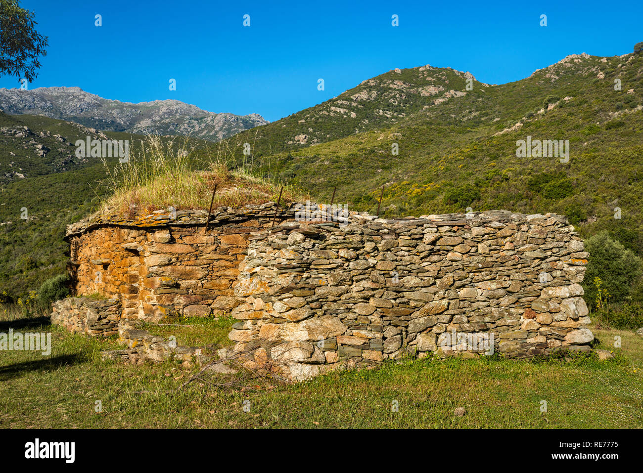 Cabaña de piedra en las colinas de Nebbio micro-región, cerca de Saint-Florent, Haute-Corse departamento, Córcega, Francia Foto de stock