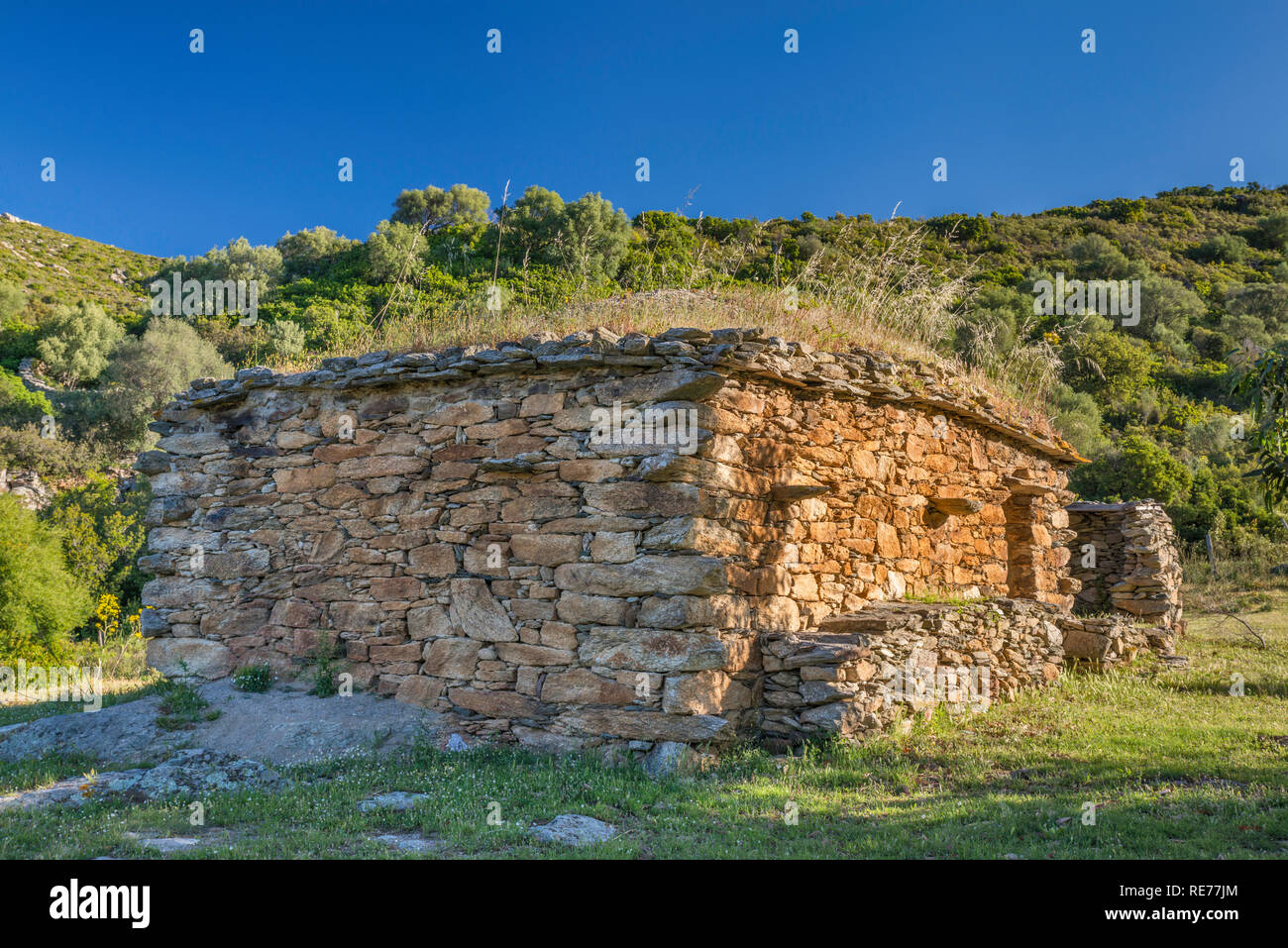 Cabaña de piedra en las colinas de Nebbio micro-región, cerca de Saint-Florent, Haute-Corse departamento, Córcega, Francia Foto de stock