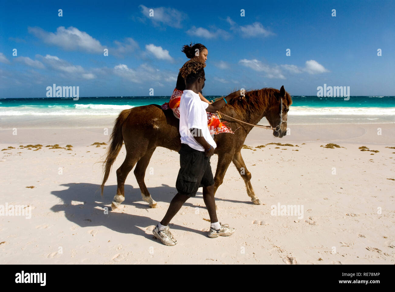 Paseo a caballo en la playa de arenas rosadas. Dunmore Town, Harbour Island, Eleuthera. Bahamas Foto de stock