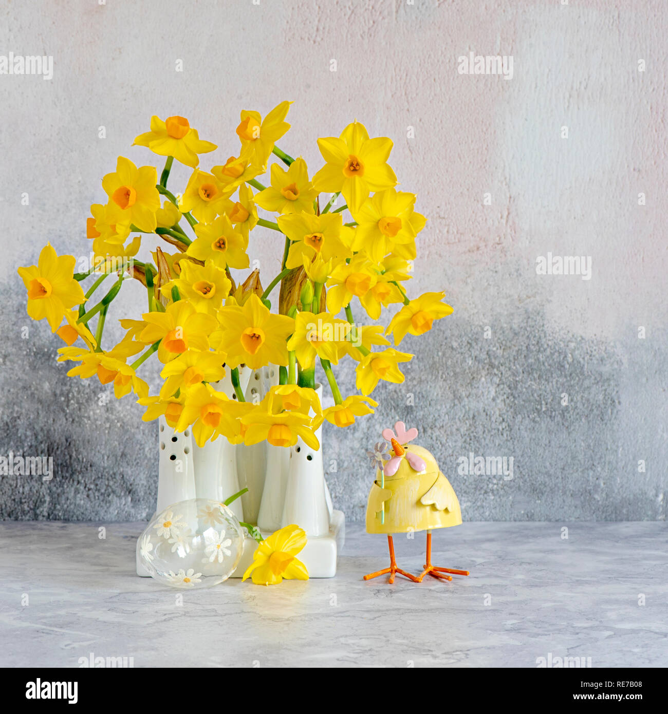 Hermosa primavera, amarillo Narciso "Tête-à-tête' - Narcisos dispuestos en jarrones de porcelana blanca Foto de stock