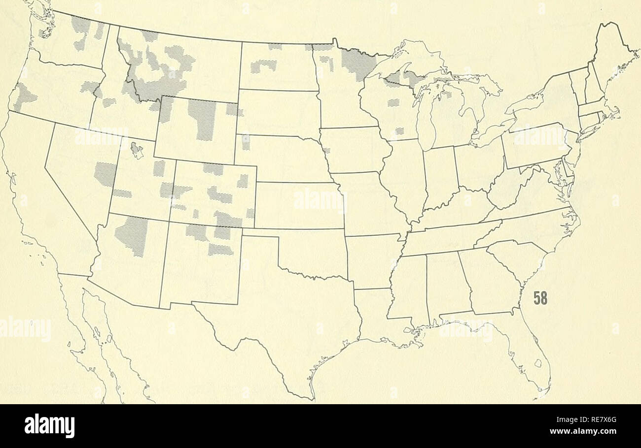 . Cooperación económica informe de insectos. Los insectos beneficiosos, las plagas de insectos