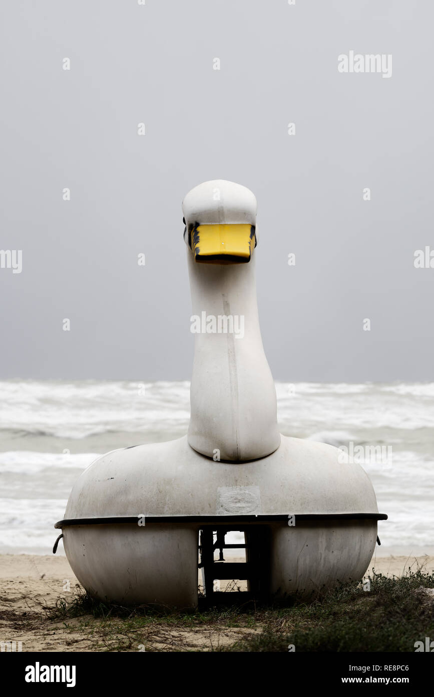 Forma de cisne bote a pedal en la playa Foto de stock