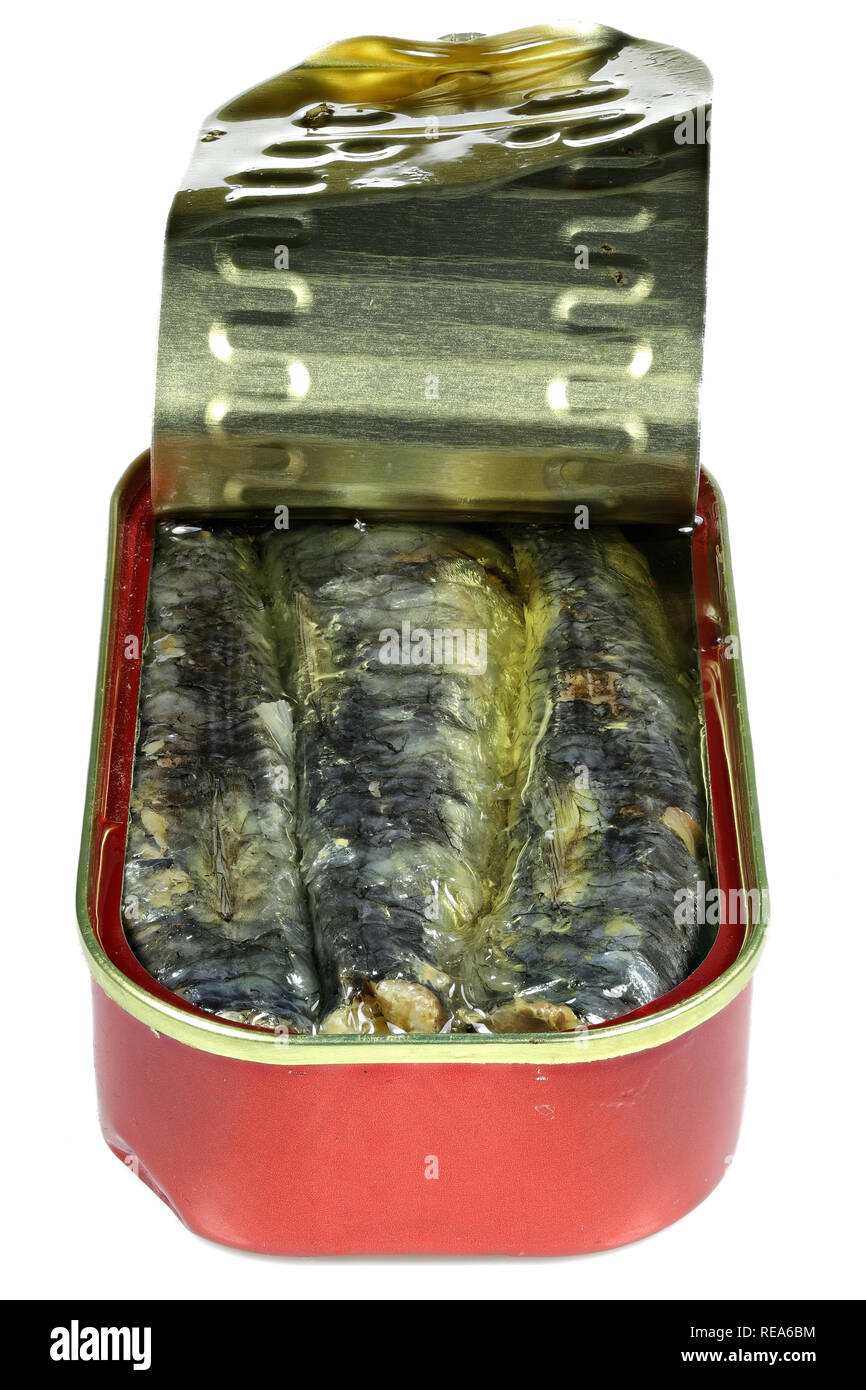 Abrir la lata de sardinas en aceite vegetal aislado sobre fondo blanco. Foto de stock