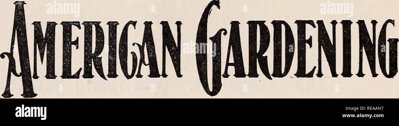 . Catálogo del cono y informe : nueva elección y fresas. Viveros (horticultura) Catálogos de Menomonie Wisconsin; fresas catálogos catálogos; implementos agrícolas; viveros (horticultura); fresas; implementos agrícolas. epME de nuestros departamentos de ciencia un&amp; práctica. 5=Acre Farm pequeñas frutas del viñedo La Huerta dispositivos para ahorrar mano de obra verduras Flores fertilizantes implementa el apiario Trabajo actual Mejoramiento Rural Huerta La Plantación de Árboles paisaje Art Home razones para tener hermoso jardín ventana exposiciones invernaderos jardinería ornamental de jardín lámpara UVA Cult Foto de stock