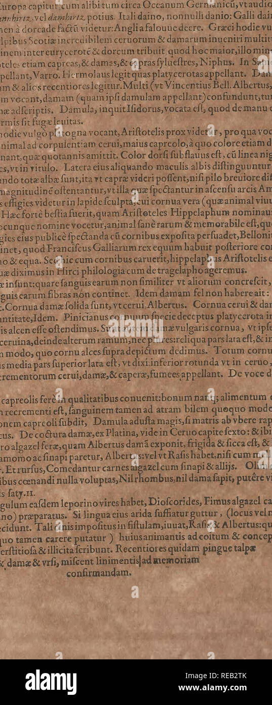 . Conradi Gesneri medici Tigurini Historiae animalium Liber primus de quadrupedibus viuiparis : opus philosophis, medicis, grammaticis, philologis, poe?tis, &Amp; omnibus rerum linguarumq?ue variarum studiosis, vtilissimum simul iucundissimumq?ue futurum. Pre-Linnean funciona; en zoología. A S T O R animal amphibium quadrupcs efl: Latini fibrUm ,& vtSeruioplacct canem Ponti- "um vocat: Graxis hominatur caflorj& >TTsnxuo cJct)i'?, id eft, ca- nisfluuiatilis, vtapud Syluaticu Icgimus alimentados dcccpit ilum. nam caiiis nominis vicinitas ponticusjcaftor cftrcanis potamios vcro Lur rajVtinLutrxliift Foto de stock