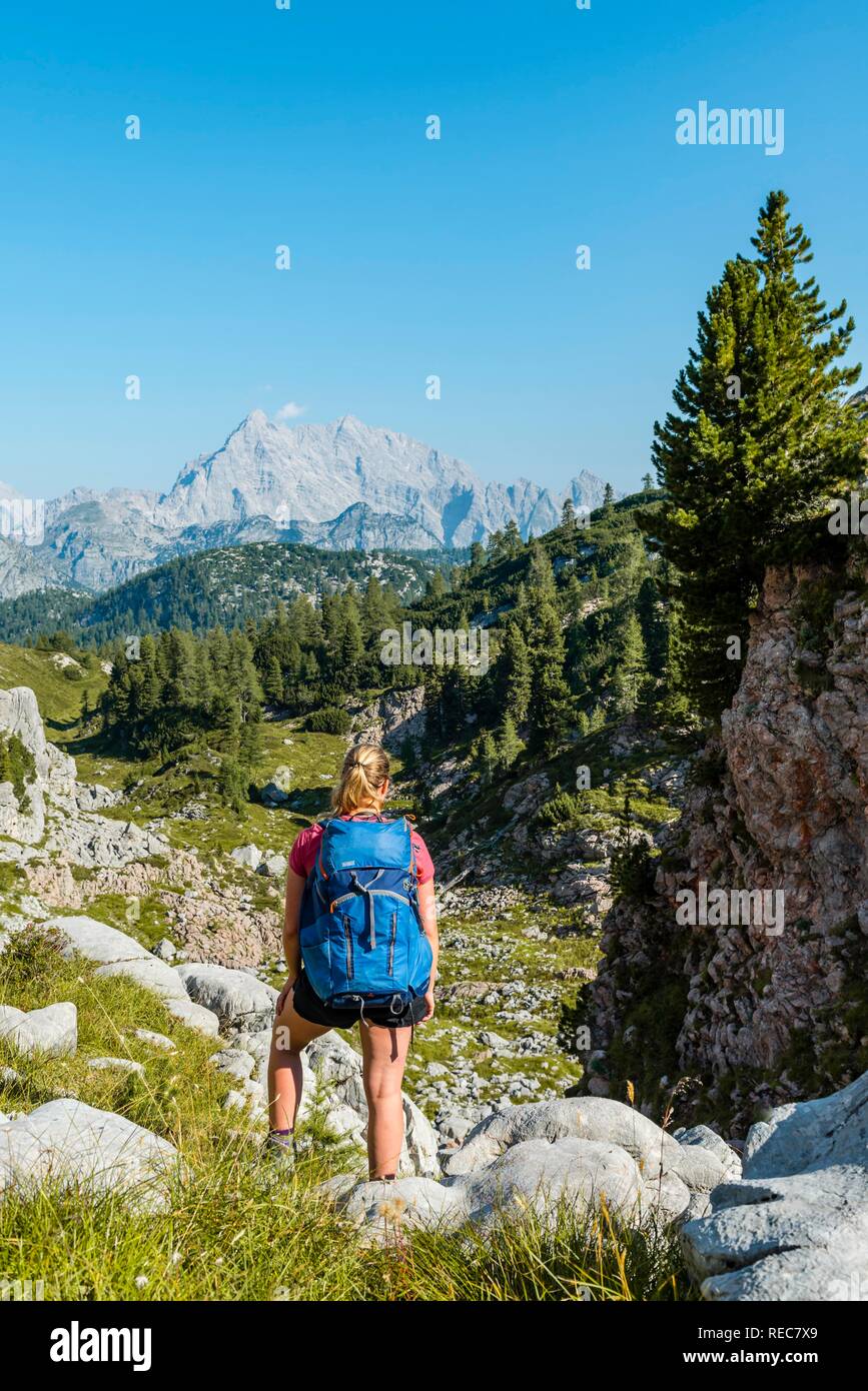Excursionista con mochila, senderos en la Funtenseetauern, detrás de Watzmann, Parque Nacional Berchtesgaden Berchtesgadener Land Foto de stock