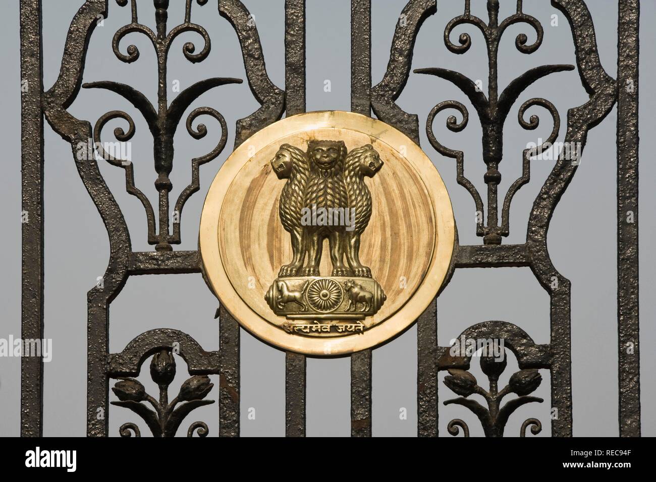 Lion capital del pilar de Ashokan, símbolo nacional de la India, Delhi