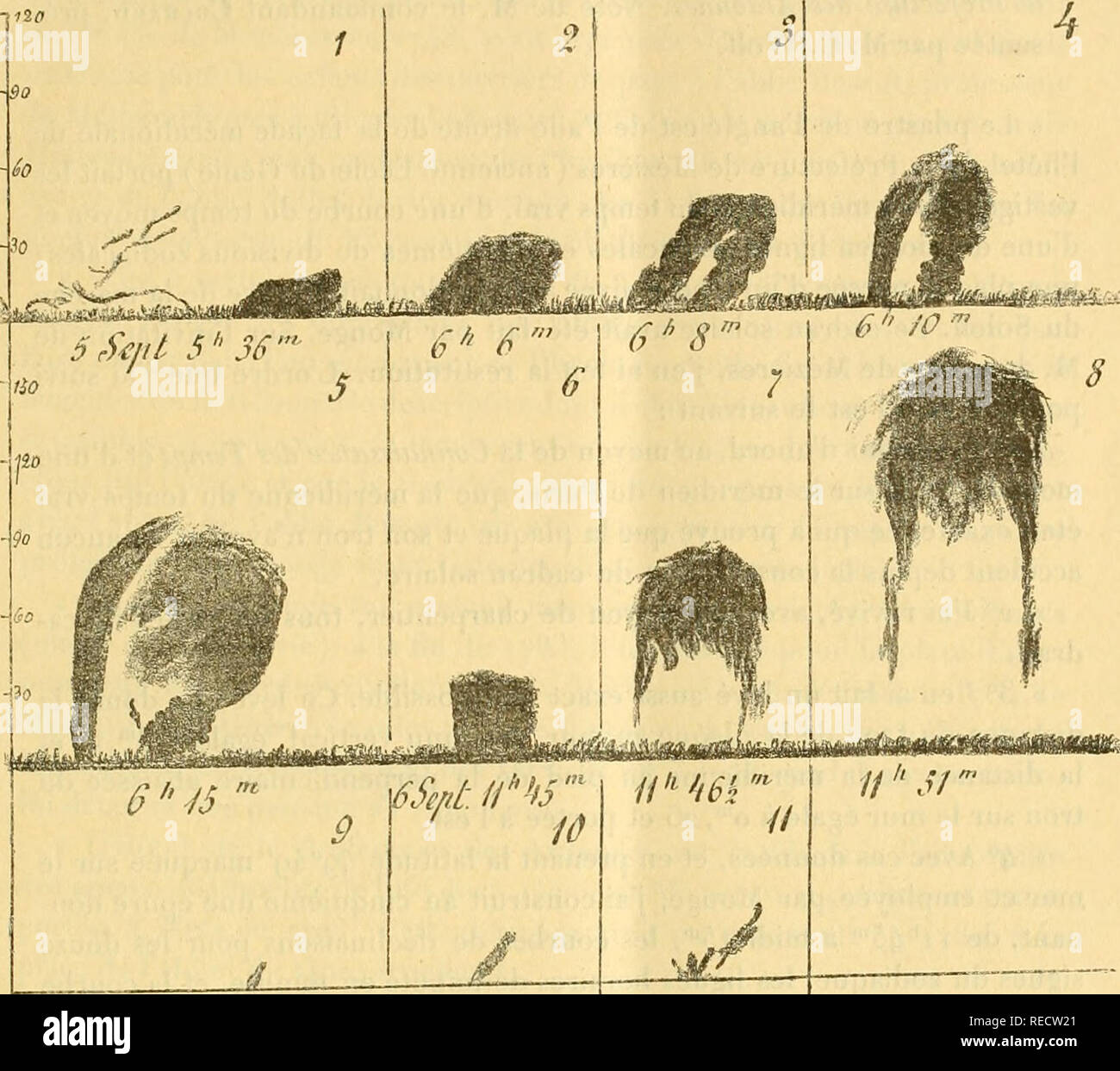 Comptesrendushebacad Es Naturelles Gt 3 A L A C Ruption Extraordinario Des Vapeurs Ma C S Est Talliques Produitedans La Partie Qui Se Trouve A Droite Dans Es Ig I 5 Et Qui Dans Le Soleil A C Tait Du