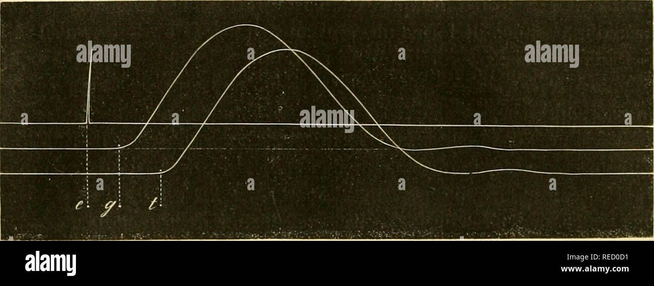 . Comptesrendusheb73acad. Es naturelles. I 920 ) " Suivant les procéDíaz©s ordinaires de la myographie, fixe, dans nue première expériencia (ligne i), Le point auquel corresponden l'électrique excitación destinée aux nerfs, et l'on obtient en e le señal de celte exci- tación. Â" dans une seconde expériencia (linea 2), a fait l'agir excitación, non pas sur la torpille, mais directement sur le nerf de la grenouille. En ONU obtient tracé qui montre qu'un temps cg, assez considérable, s'est écoulé entre l'et le señal de excitación du mouvement : c'est la mesure du temps con- sommé par la Foto de stock