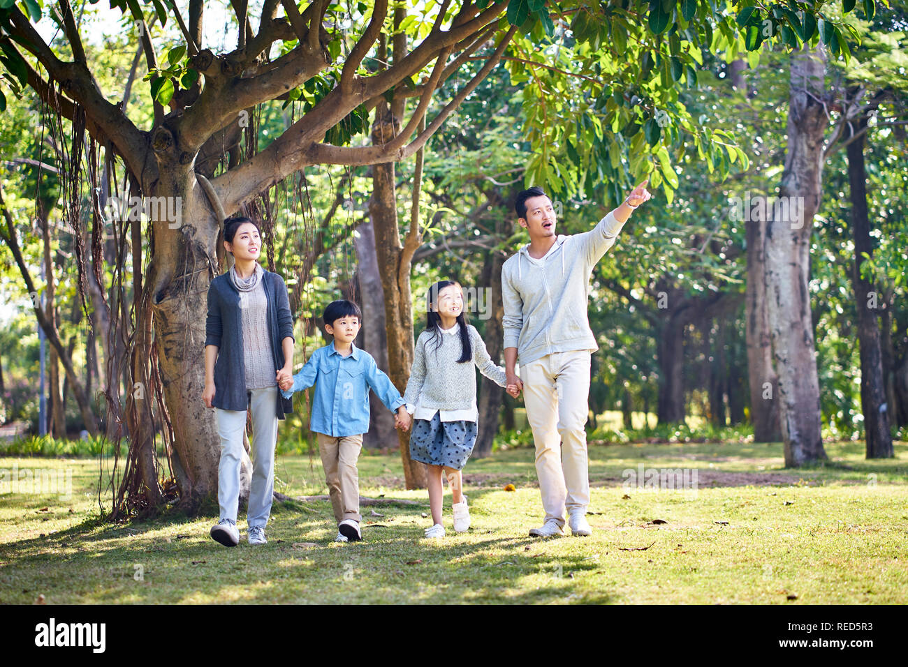 Familia con dos niños asiáticos caminando de la mano al aire libre en el parque. Foto de stock