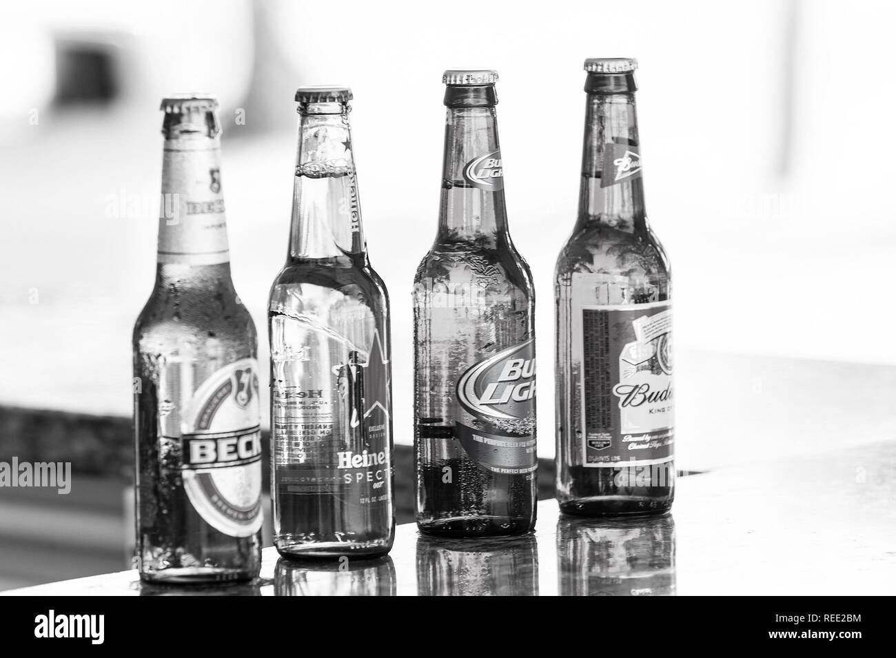 Gran Estribo Cay, Bahamas - Enero 08, 2016: la cerveza en botellas de  vidrio en el mostrador de bar. Alcohol malos hábitos. Refrescos, bebidas,  bebidas. Celebración de fiestas de la cerveza Fotografía