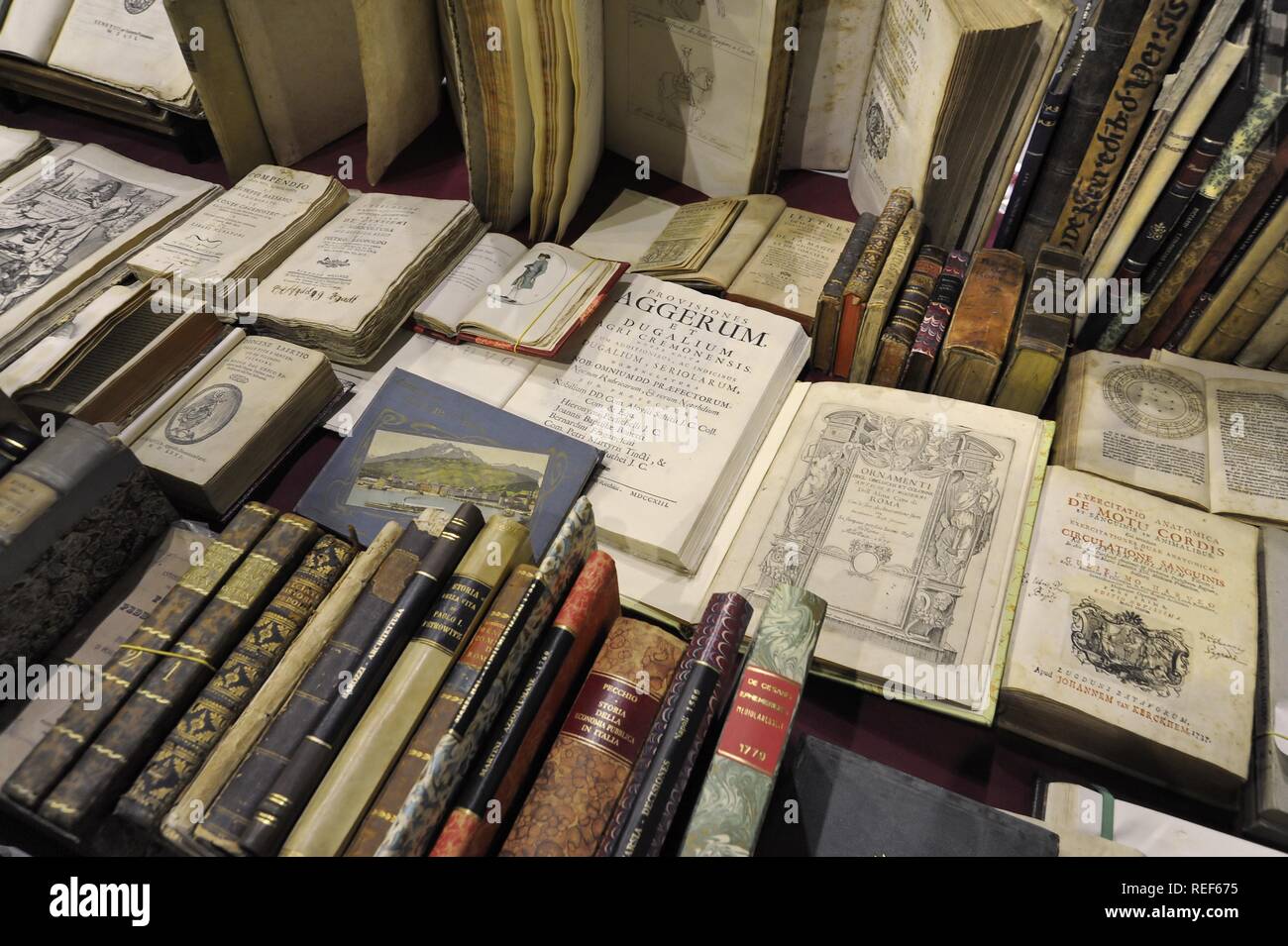 Milán (Italia), la Feria de la cultura, exposición de libros antiguos o fuera de impresión Foto de stock