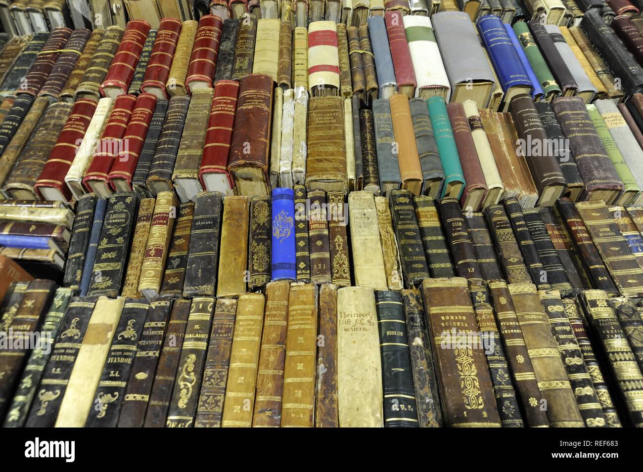 Milán (Italia), la Feria de la cultura, exposición de libros antiguos o fuera de impresión Foto de stock