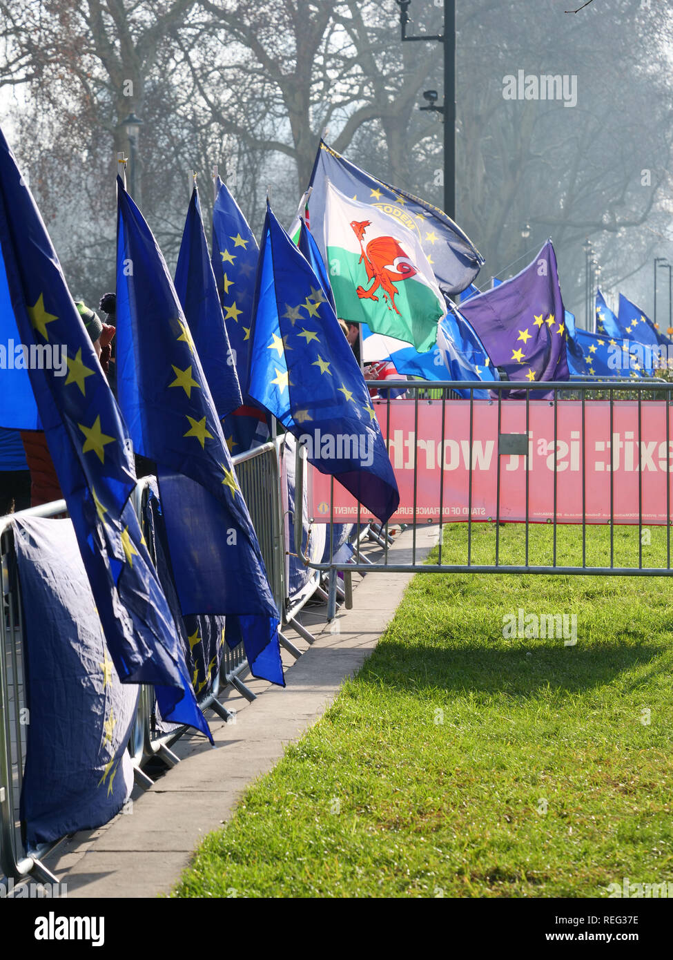 Londres, Reino Unido. 21 Enero, 2019. Las banderas de la Unión Europea en apoyo de permanecer dentro de la UE alrededor de las Casas del Parlamento hoy. Crédito: Joe Kuis / Alamy Live News Foto de stock
