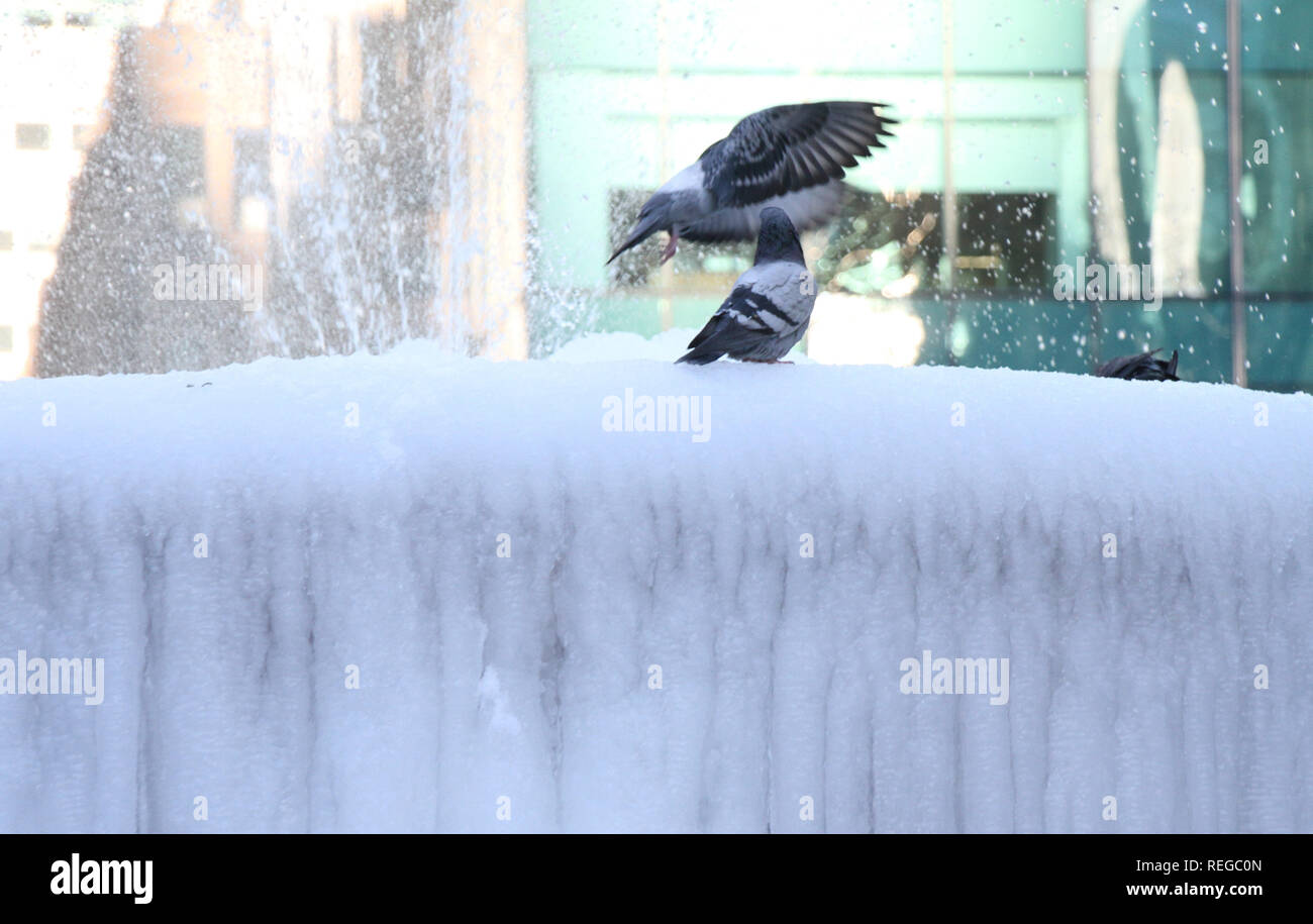 temperatura new york ayer