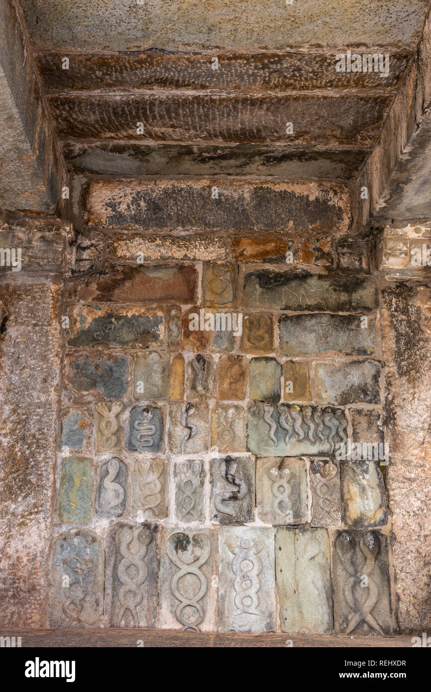 Belur, Karnataka, India - Noviembre 2, 2013: el edificio del Templo Chennakeshava. La pared bajo el mandapam con varias esculturas en piedra de serpientes entrelazadas, s Foto de stock