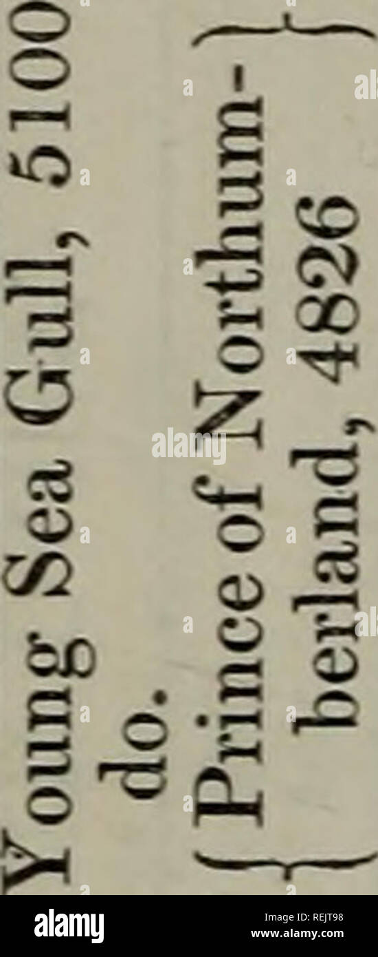 Coates El Libro Genealogico 44 Vacas O Co G I Oh Tio P O Lt Ri A P2 W Volver I 3 Ser 9 Se Ser O T Co