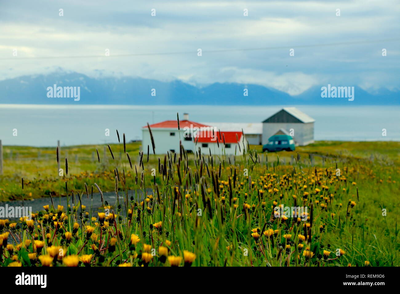 Casa aislada en campos verdes con montañas cubiertas de nieve en el océano al atardecer en Islandia Foto de stock