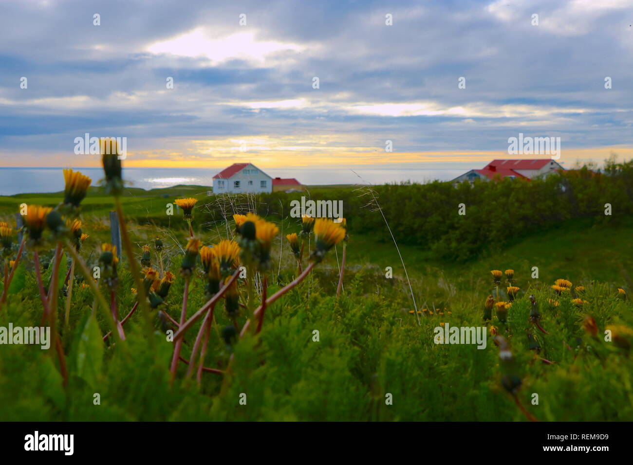 Casa aislada en campos verdes en la playa al atardecer en Islandia Foto de stock