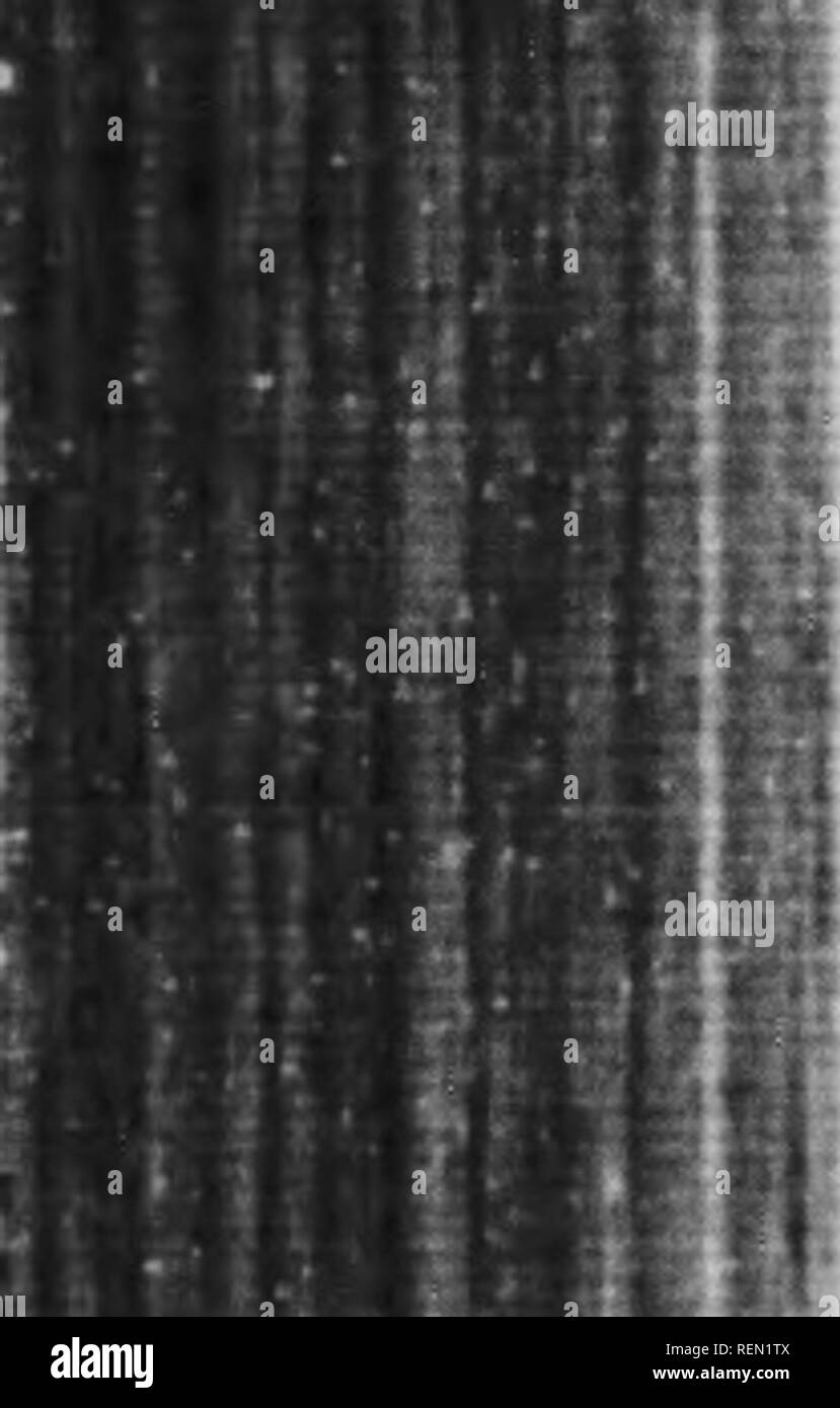 Tolerancia a la sombra Imágenes de stock en blanco y negro Alamy