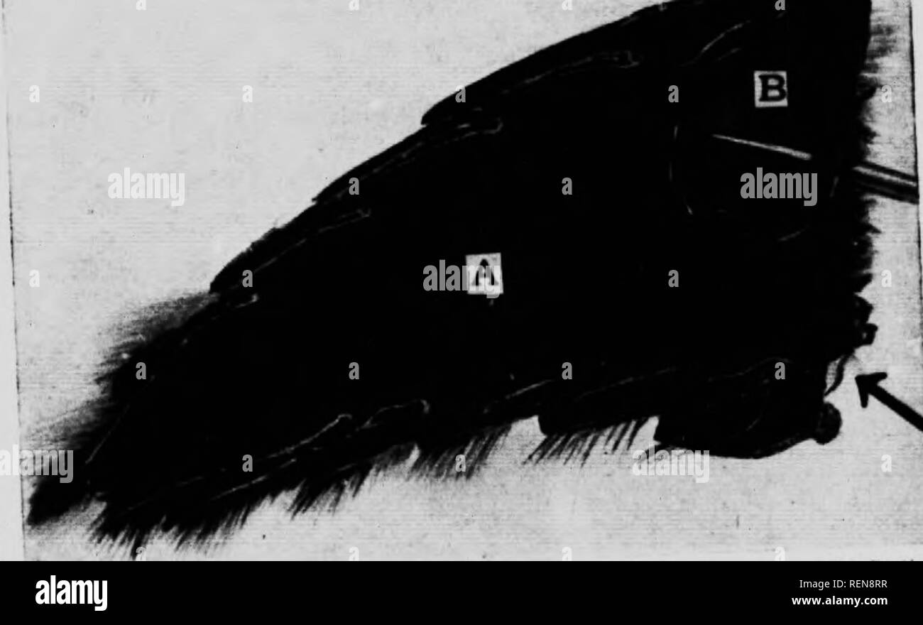 High Sue Fotos E Imagenes De Stock Pagina 8 Alamy