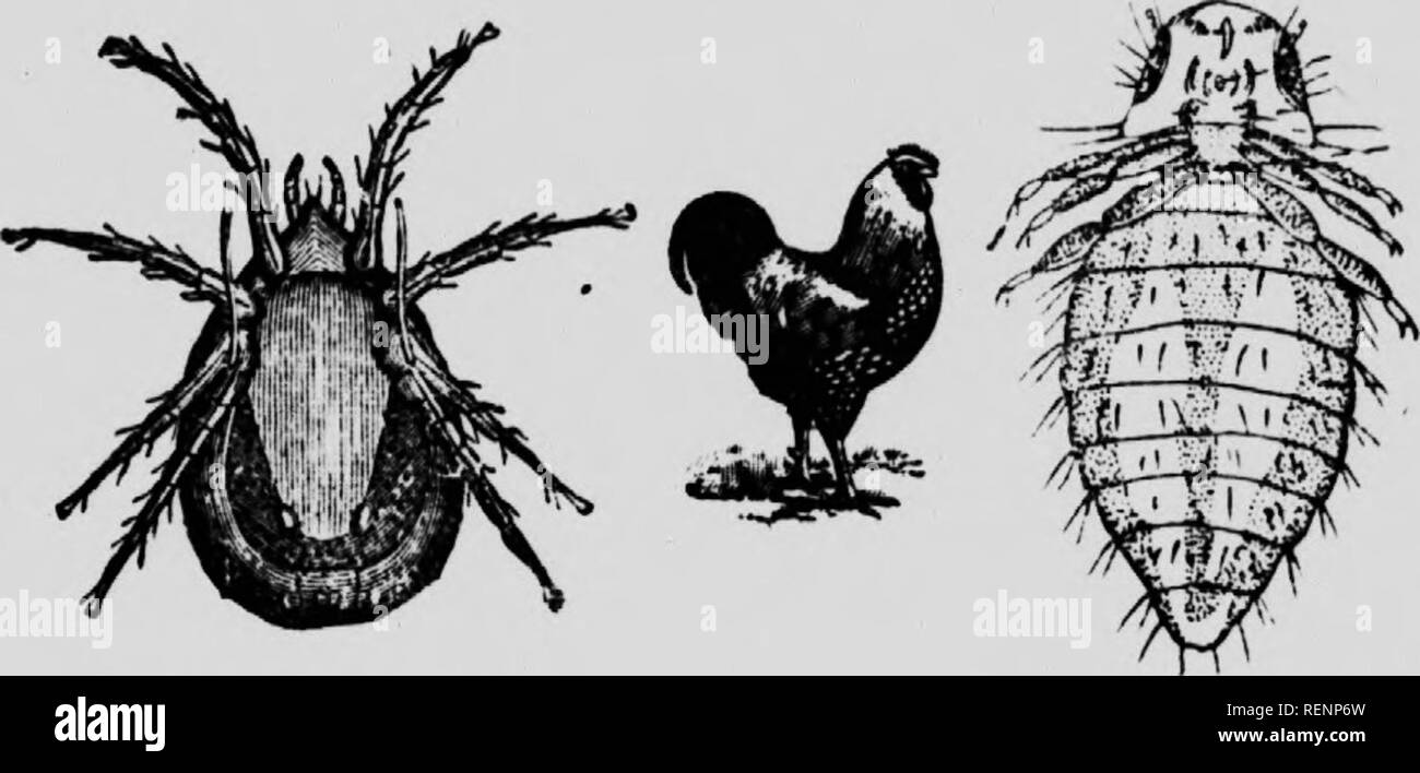 Na N A Fotos E Imagenes De Stock Pagina 77 Alamy