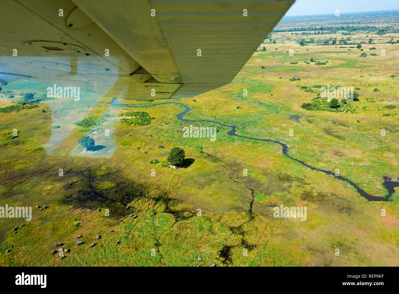 El Delta del Okavango, Botswana Foto de stock