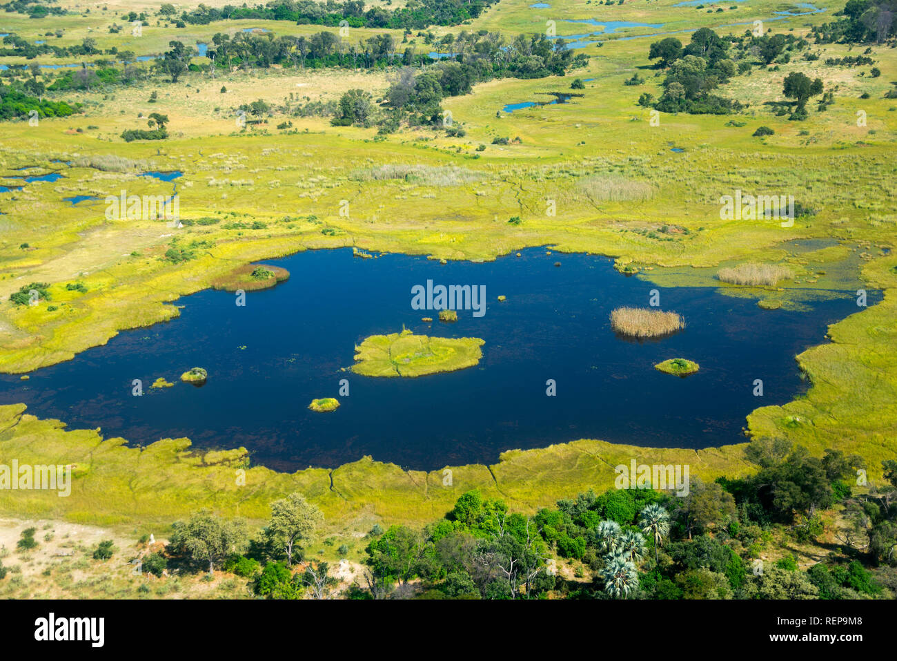 El Delta del Okavango, Botswana Foto de stock