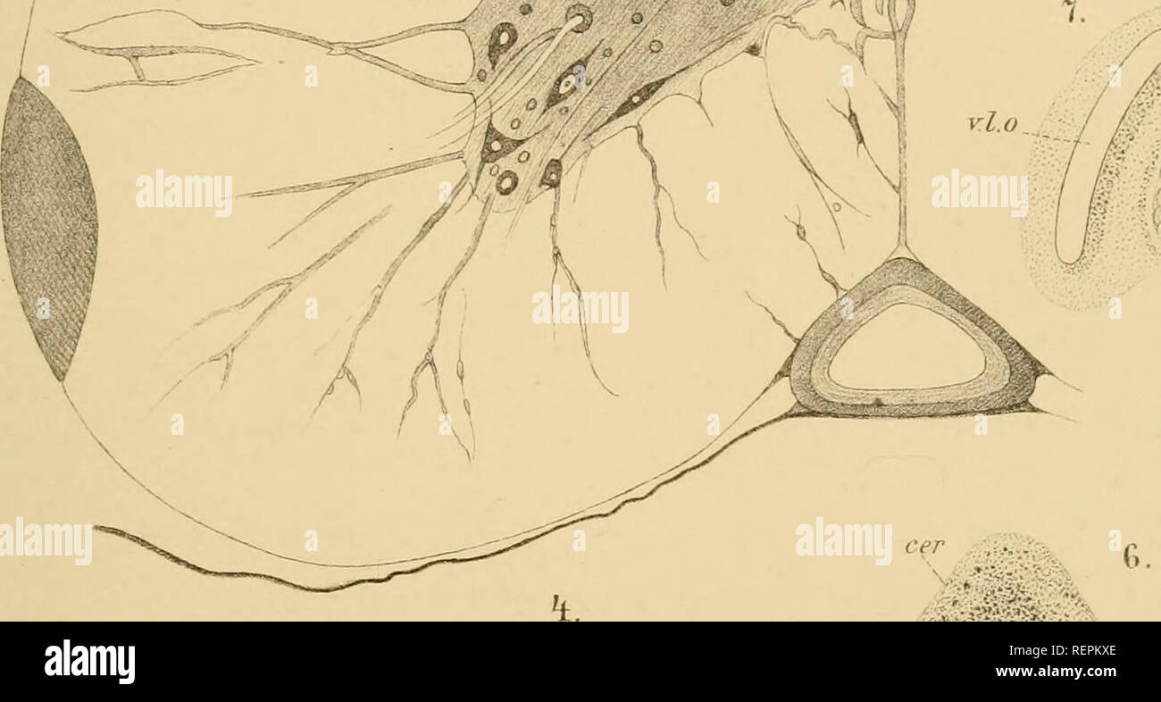 C 1800 N A Fotos E Imagenes De Stock Pagina 8 Alamy