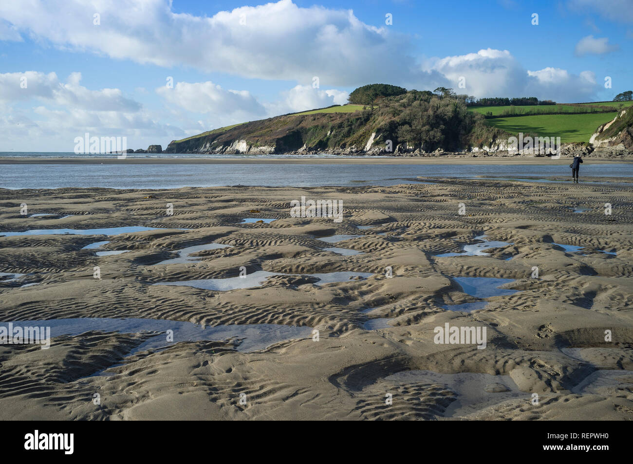 Walker en Wonwell Playa en marea baja, Sur de jamones, Devon, Reino Unido Foto de stock