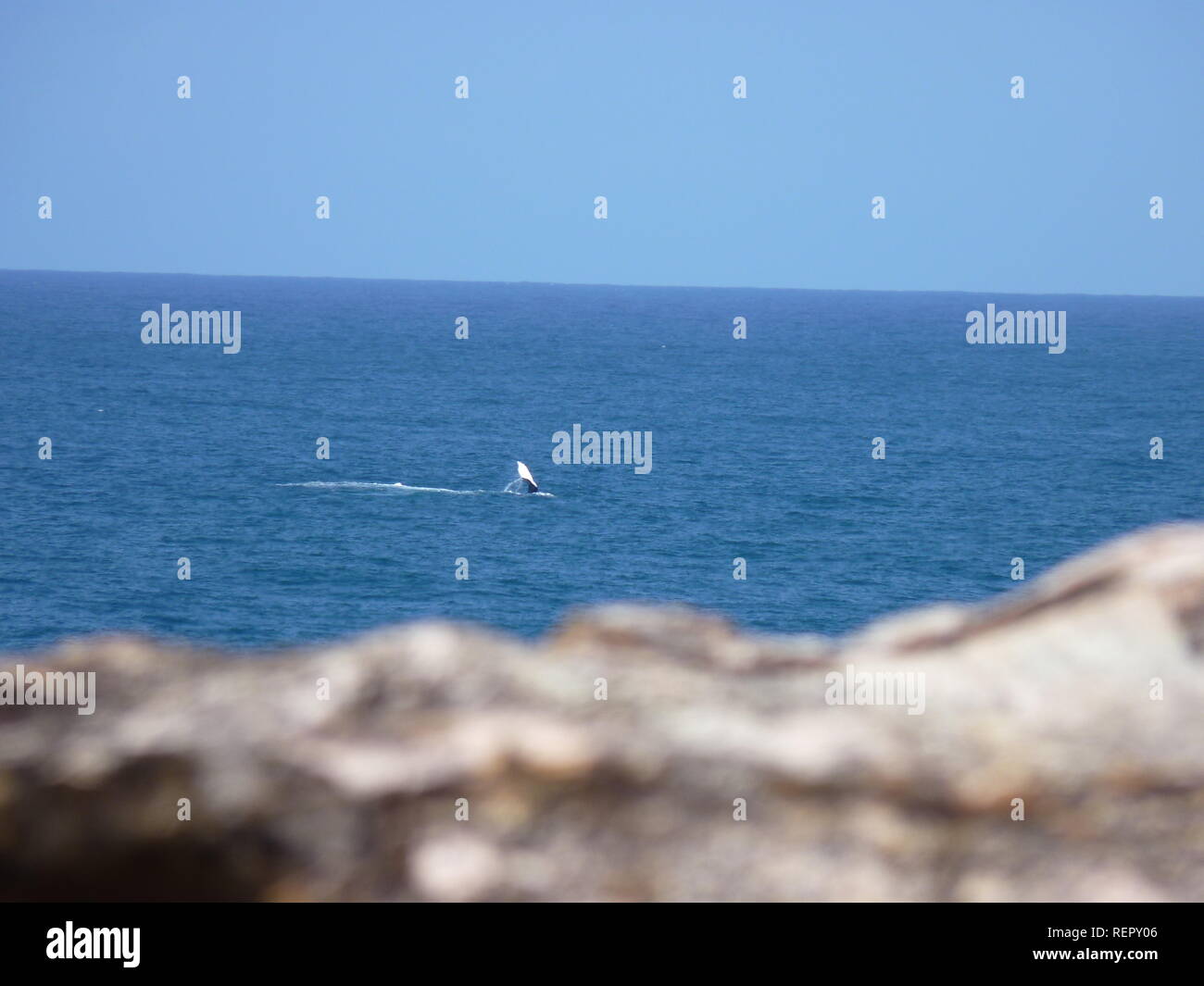 Vista al océano en el North Stradbroke Island, Brisbane Foto de stock