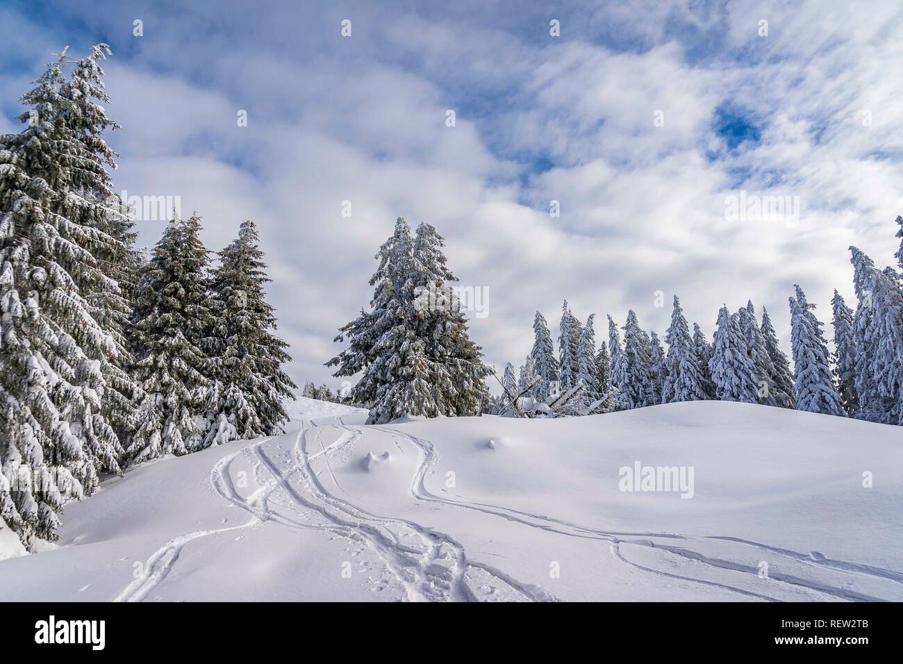 Fantástico paisaje invernal. colorido cielo iluminado por la luz solar. Foto de stock