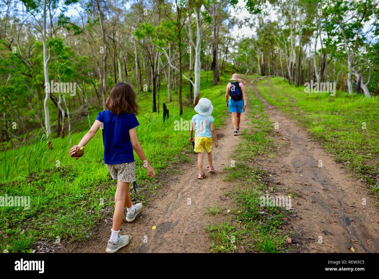 Los niños caminando por una pista de tracción en las cuatro ruedas a través de un bosque, Mia Mia State Forest, Queensland, Australia Foto de stock
