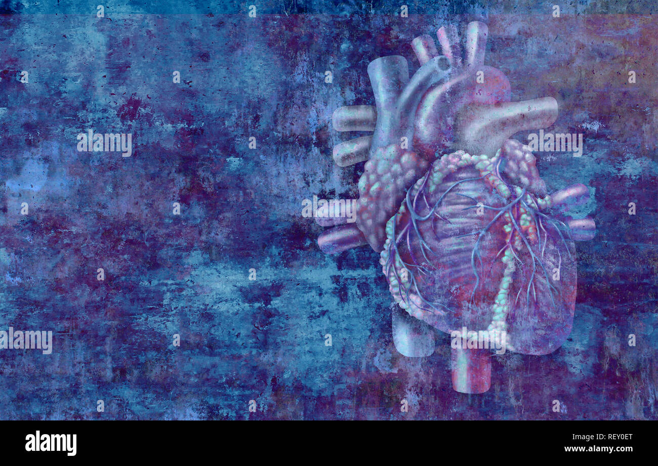 Anatomía del corazón humano, concepto sobre un fondo grunge como una actividad médica, Símbolo o icono de cardiología de un órgano cardiovascular interior. Foto de stock