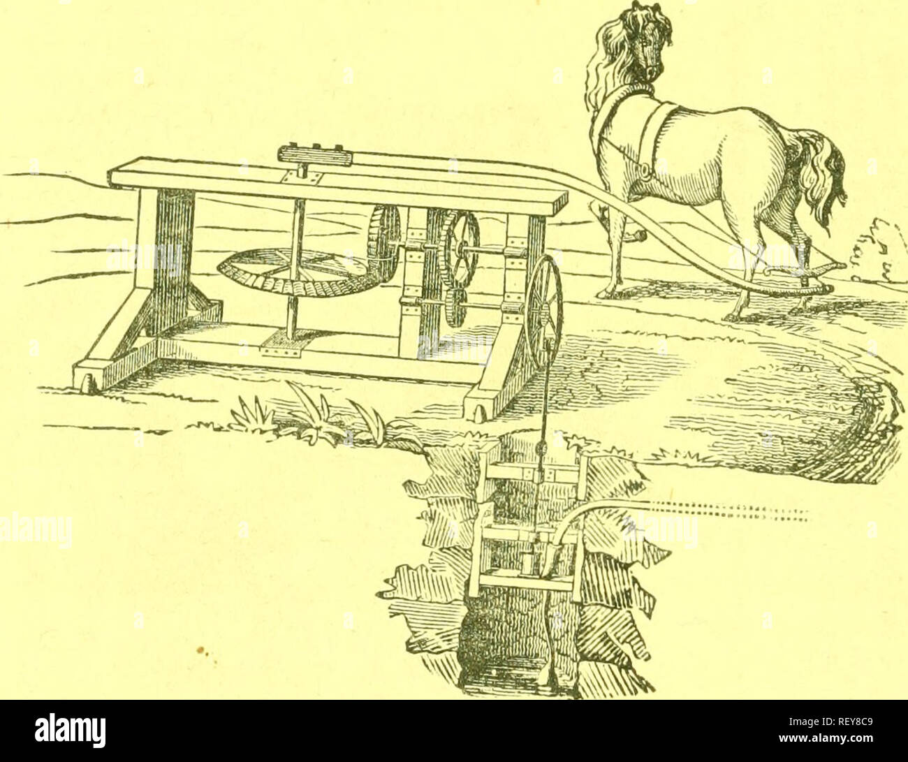 . Catálogo de implementos agrícolas y hortícolas ... . Fig. 47. Máquinas para trabajar las bombas están hechos generalmente inmóvil, ami en un plan más simple de como son los bienes muebles. I^él círculo de un caballo para viajar, para trabajar en una facultad de advar.Lage, debería ser veinte y cinco pies de diámetro, y un caballo pasará ronda en un promedio de alrededor de tres veces en un minuto. A fin de obtener veinticinco vueltas a la manivela, la rueda grande debe ser ocho veces el diámetro de la pequeña, u ocho pies a un pie, si de hierro fundido. Pero si se hace en el plan representaba en el corte (fig. 47), la rueda grande puede ser ma Foto de stock