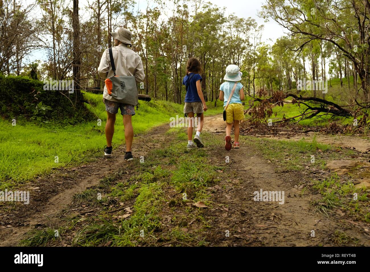 Los niños y el padre caminando junto a una pista de tracción en las cuatro ruedas a través de un bosque, Mia Mia State Forest, Queensland, Australia Foto de stock