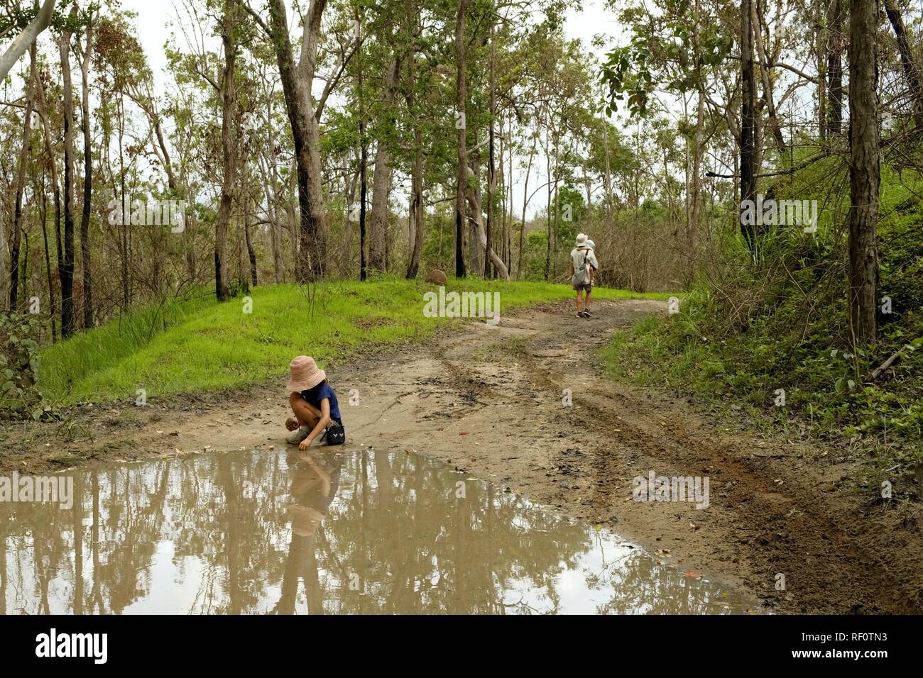 Un niño juega en un charco de barro a lo largo de una pista de tracción en las cuatro ruedas a través de un bosque, Mia Mia State Forest, Queensland, Australia Foto de stock