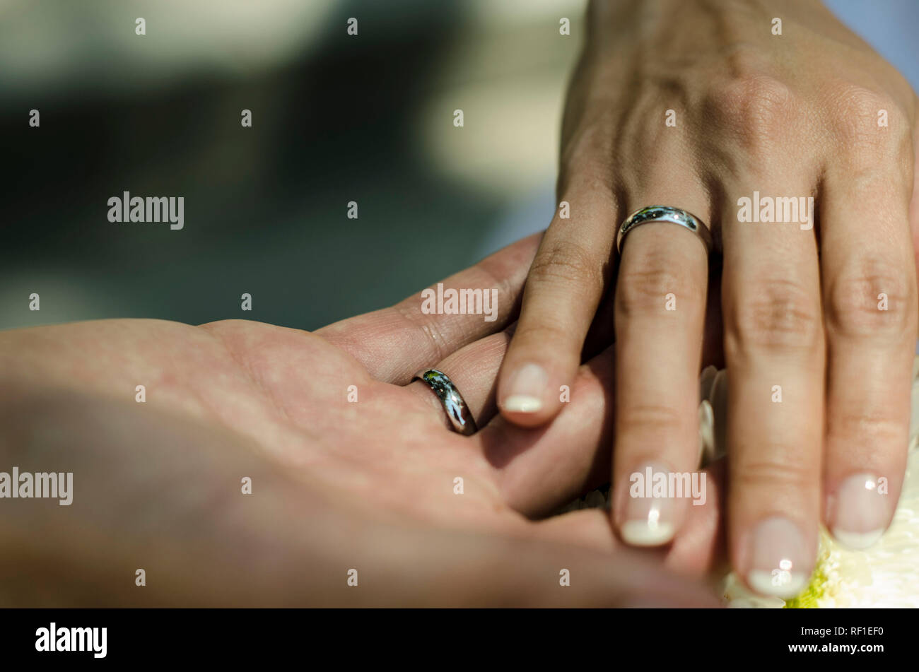 Las manos de la novia y el novio sosteniendo junto con anillos de boda  boda. el joven pareja. El matrimonio. El hombre y la mujer en el amor. Dos  personas felices celebrando