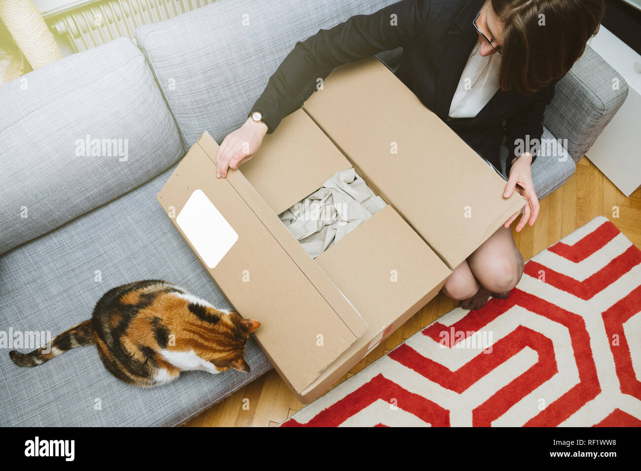 Mujer de negocios desembalaje unboxing caja de cartón ayudado por su gato mascota hermoso animal Foto de stock