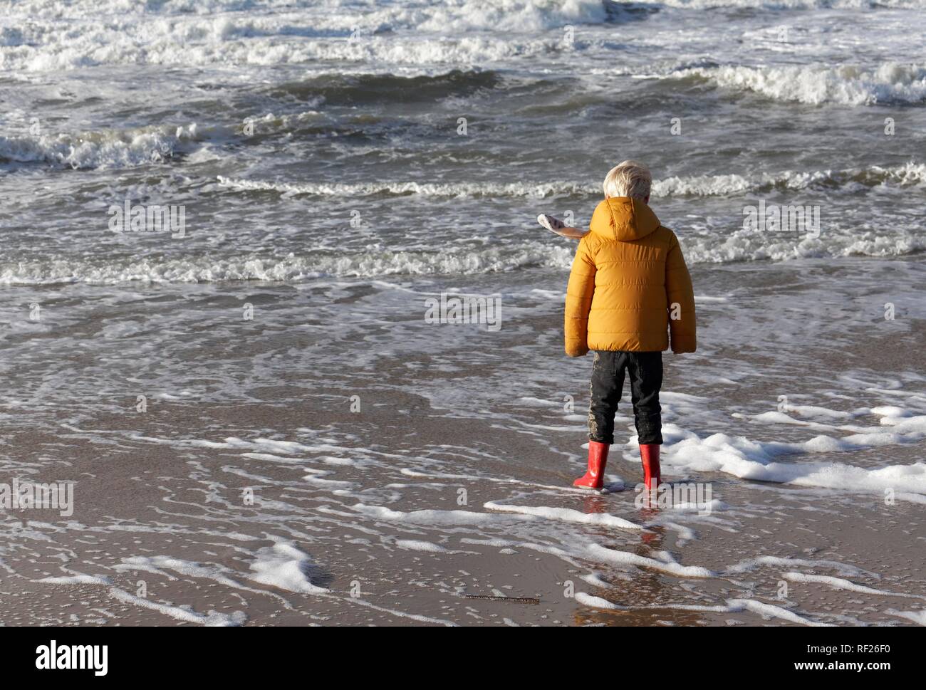 Niñito en ropa de invierno de pie en el surf en la playa, vista al mar, el Mar del Norte, Países Bajos Foto de stock