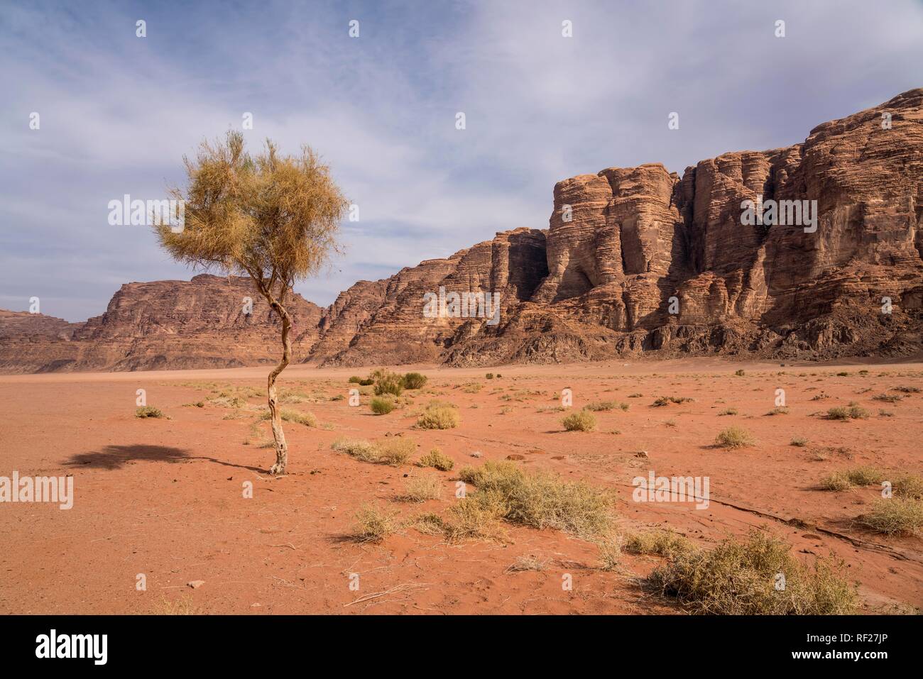 Paisaje con rocas en el desierto Wadi Rum, Jordania Foto de stock