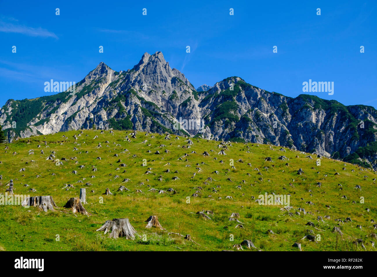 Austria, Salzburgo, Estado Pinzgau, Grosses Muehlsturzhorn, deforestados Foto de stock