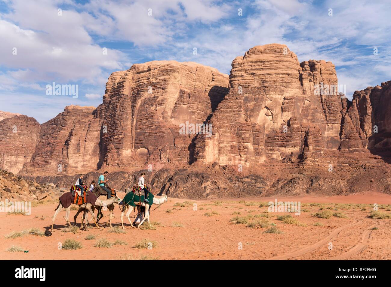 Camellos con turistas en el desierto del Wadi Rum, Jordania Foto de stock