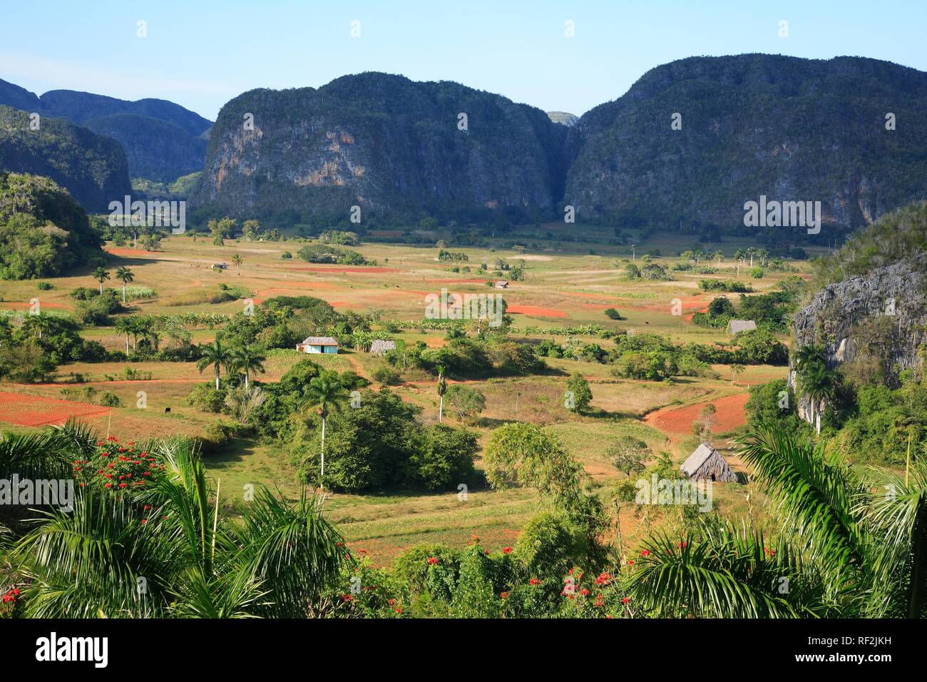 Valle de Viñales y los Mogotes colinas de piedra de tiza, Cuba, El Caribe Foto de stock