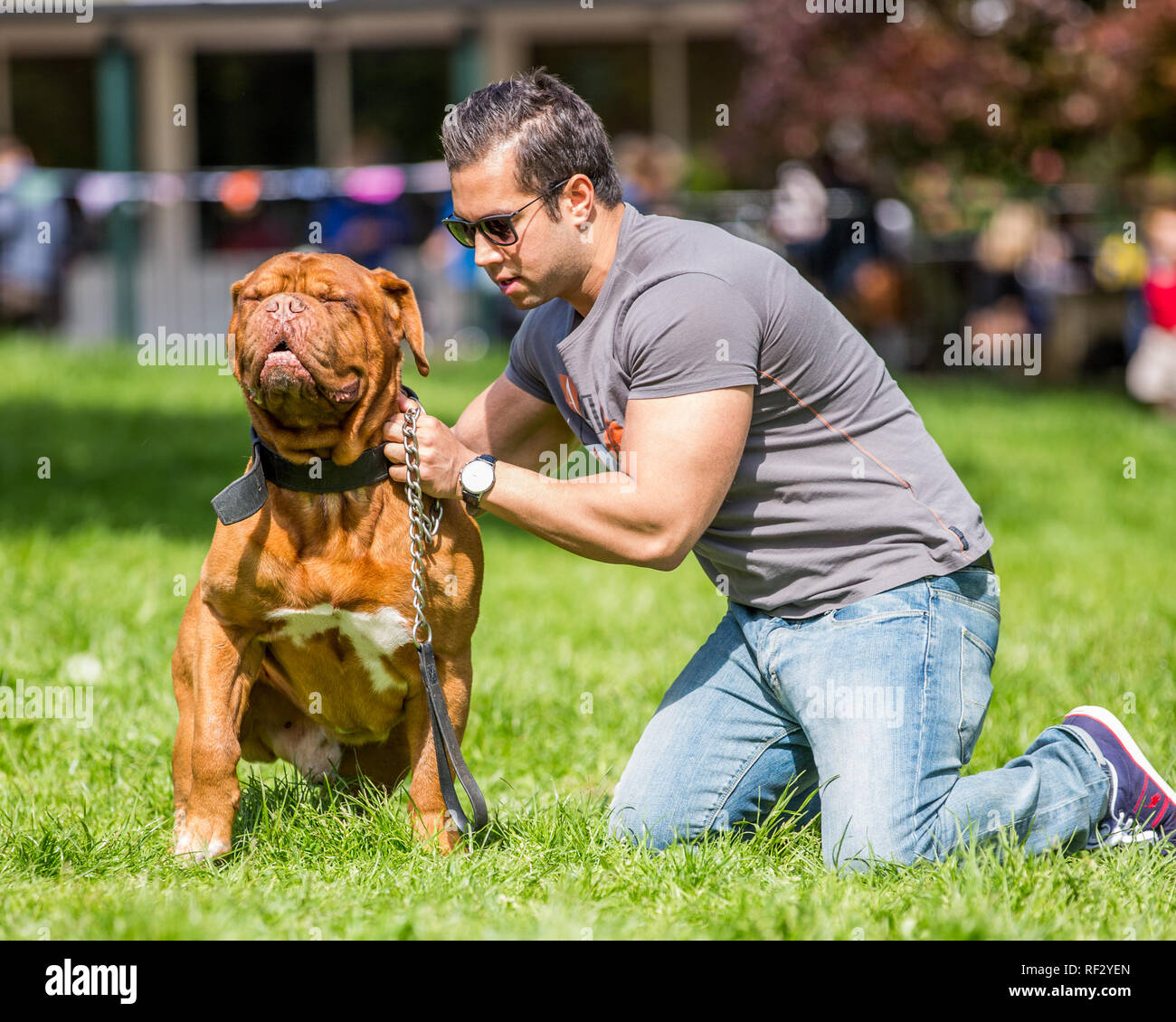 Un hombre fuerte con su perro en una exposición canina en Londres Foto de stock