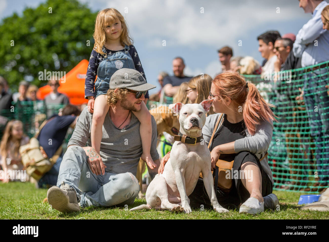 Una familia con su perro en el parque en un perro mostrar Foto de stock