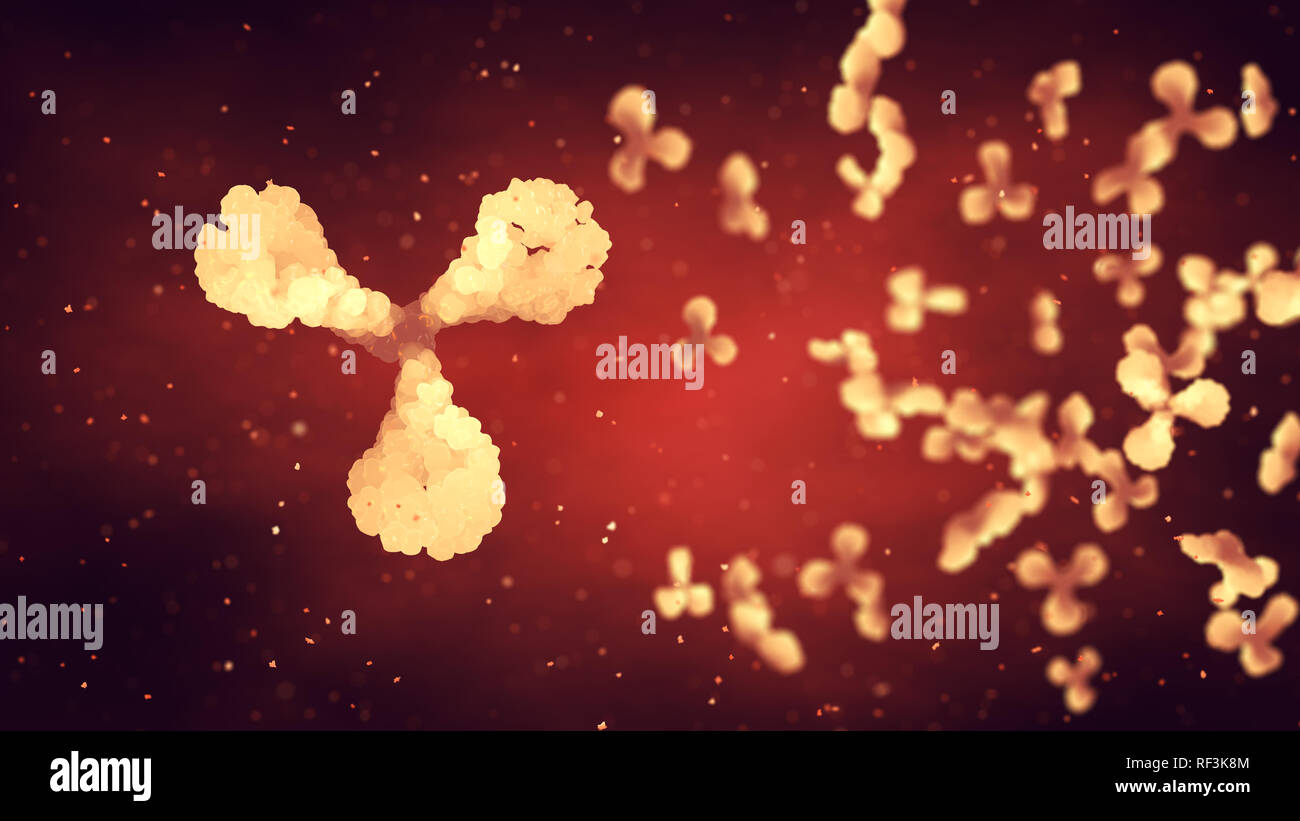 Los anticuerpos y glóbulos blancos y rojos , inmunoglobulina y células plasmáticas , enfermedades infecciosas Foto de stock