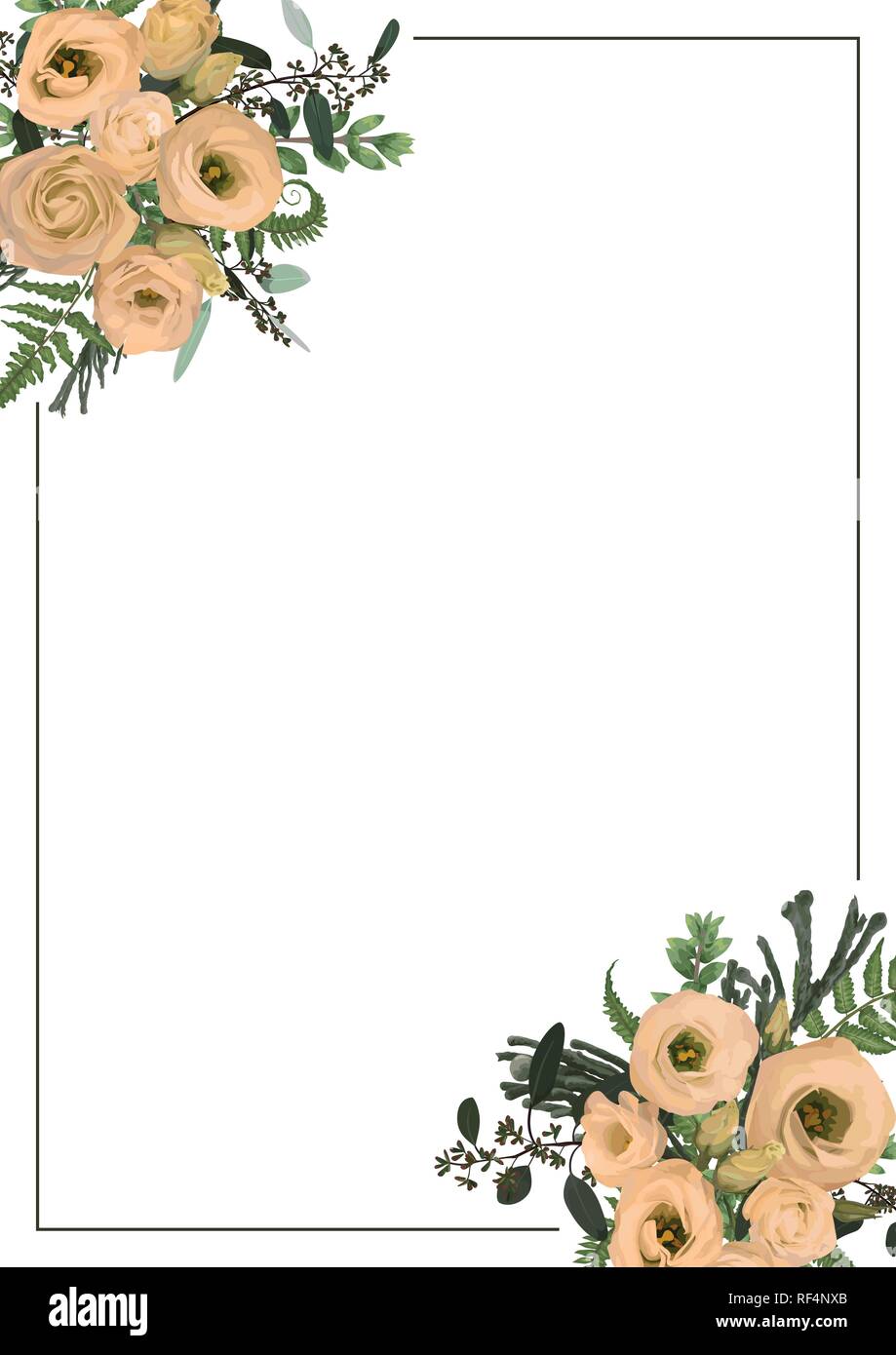 Bastidor rectangular de oro decorativo con eucalipto, helechos, brunia, boj  ramos y flores eustoma crema. Para invitaciones de boda, viñetas, po Imagen  Vector de stock - Alamy