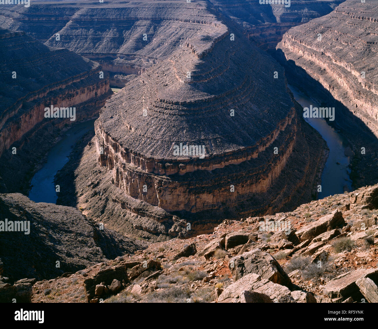 Estados Unidos, Utah State Park, cuellos de cisne; Río San Juan ha erosionado a través de pizarra para formar una curva extrema o el cuello de cisne de unos 1500 pies de profundidad. Foto de stock